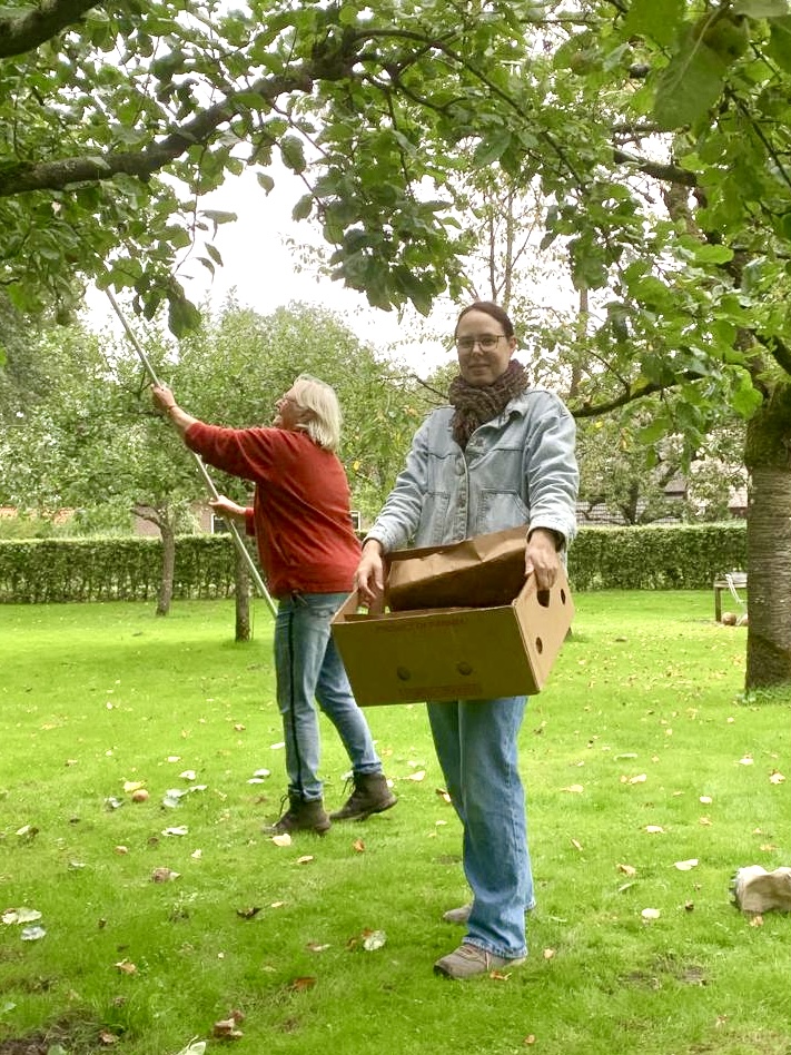 Vrijwilligers aan het plukken in de boomgaard